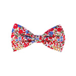 The Emma & Georgina Bow Tie on a whet background.